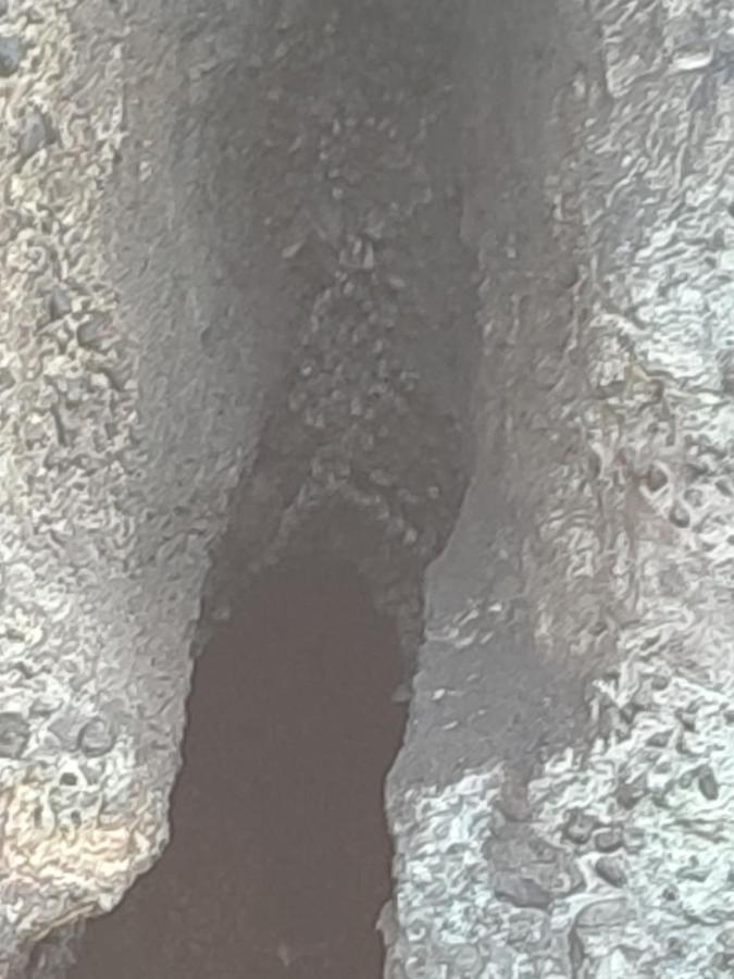 Les Cactus Lägenhet Bellefontaine Exteriör bild